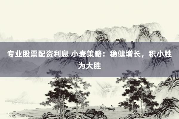 专业股票配资利息 小麦策略：稳健增长，积小胜为大胜