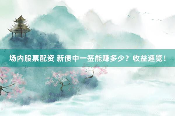 场内股票配资 新债中一签能赚多少？收益速览！