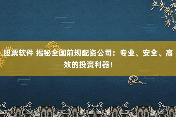 股票软件 揭秘全国前规配资公司：专业、安全、高效的投资利器！