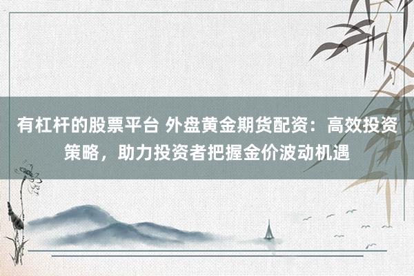 有杠杆的股票平台 外盘黄金期货配资：高效投资策略，助力投资者把握金价波动机遇