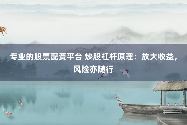 专业的股票配资平台 炒股杠杆原理：放大收益，风险亦随行