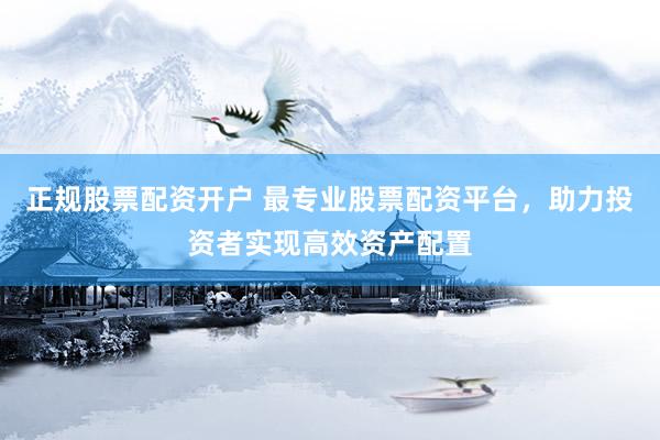 正规股票配资开户 最专业股票配资平台，助力投资者实现高效资产配置