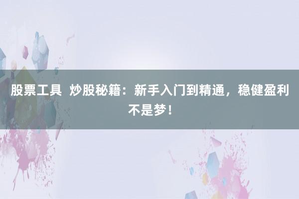 股票工具  炒股秘籍：新手入门到精通，稳健盈利不是梦！
