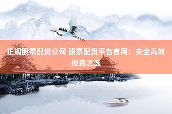 正规股票配资公司 股票配资平台官网：安全高效投资之选