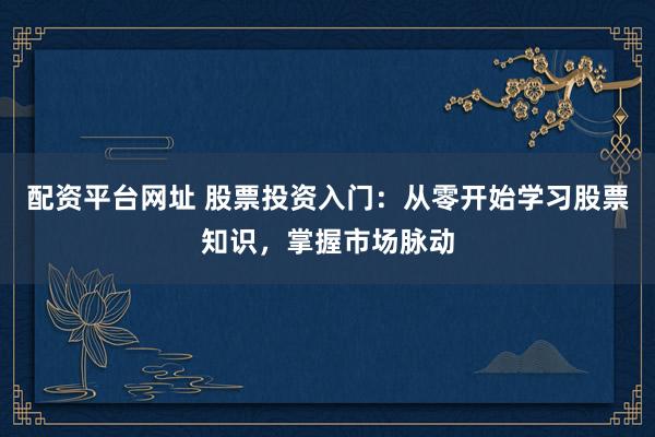 配资平台网址 股票投资入门：从零开始学习股票知识，掌握市场脉动