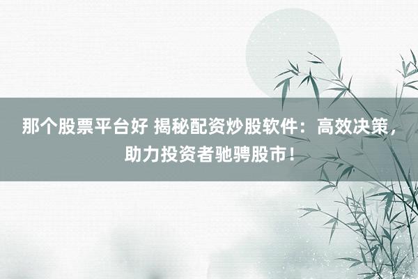 那个股票平台好 揭秘配资炒股软件：高效决策，助力投资者驰骋股市！