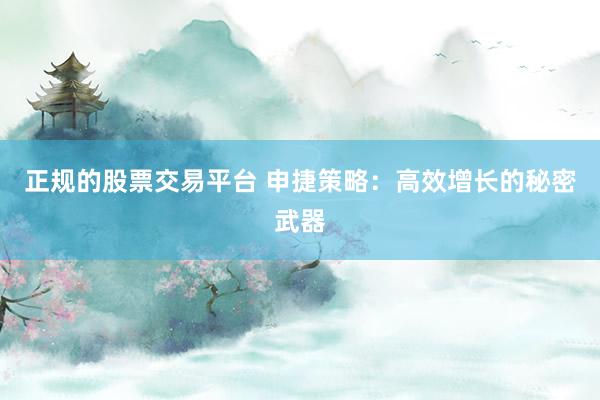 正规的股票交易平台 申捷策略：高效增长的秘密武器