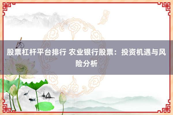 股票杠杆平台排行 农业银行股票:投资机遇与风险分析