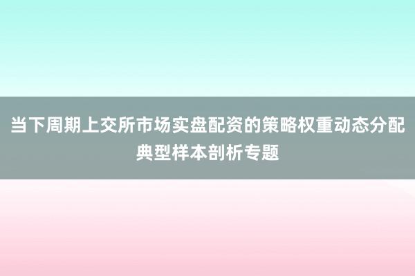 当下周期上交所市场实盘配资的策略权重动态分配典型样本剖析专题