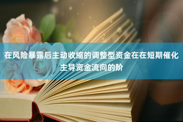 在风险暴露后主动收缩的调整型资金在在短期催化主导资金流向的阶
